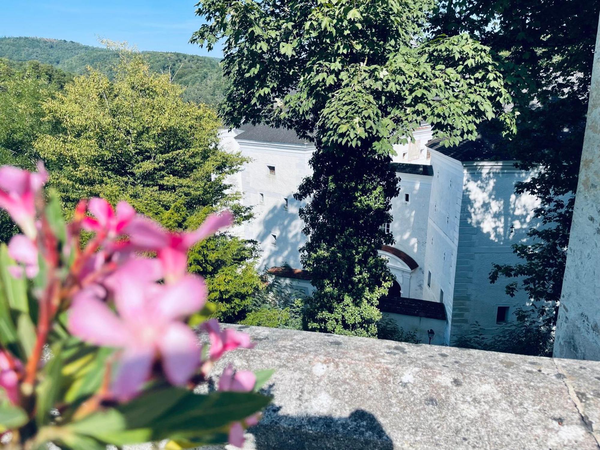 Der Turm Leiben Apartments Exteriör bild